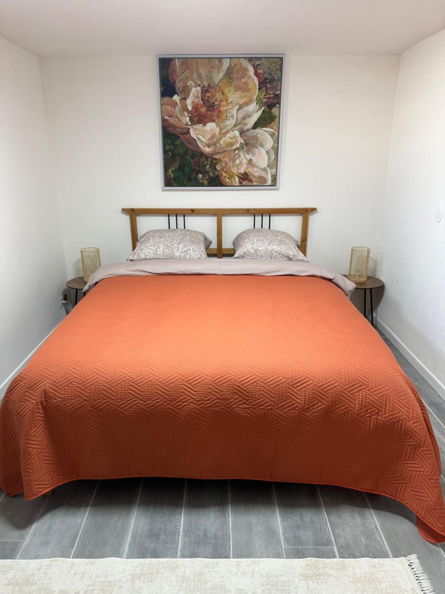 Les Mirabelles Apartment Ensisheim Ngoại thất bức ảnh