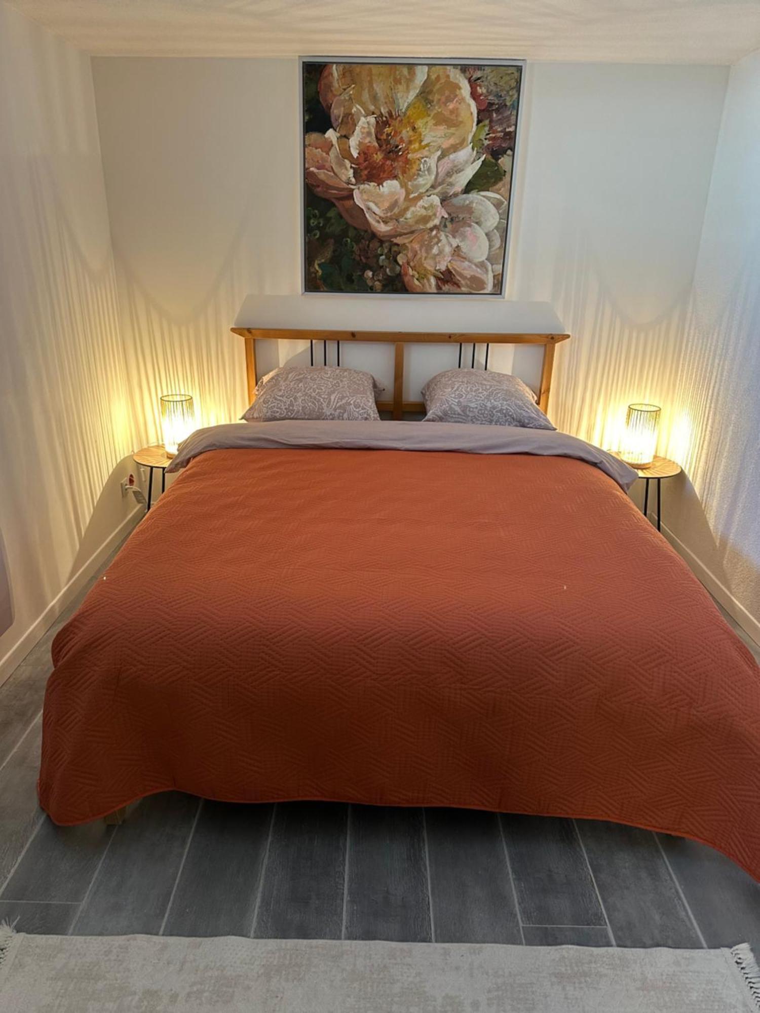 Les Mirabelles Apartment Ensisheim Ngoại thất bức ảnh